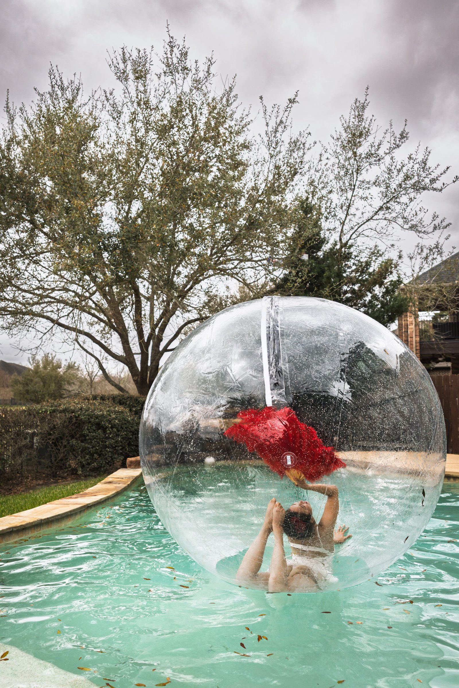 Zorb-1804