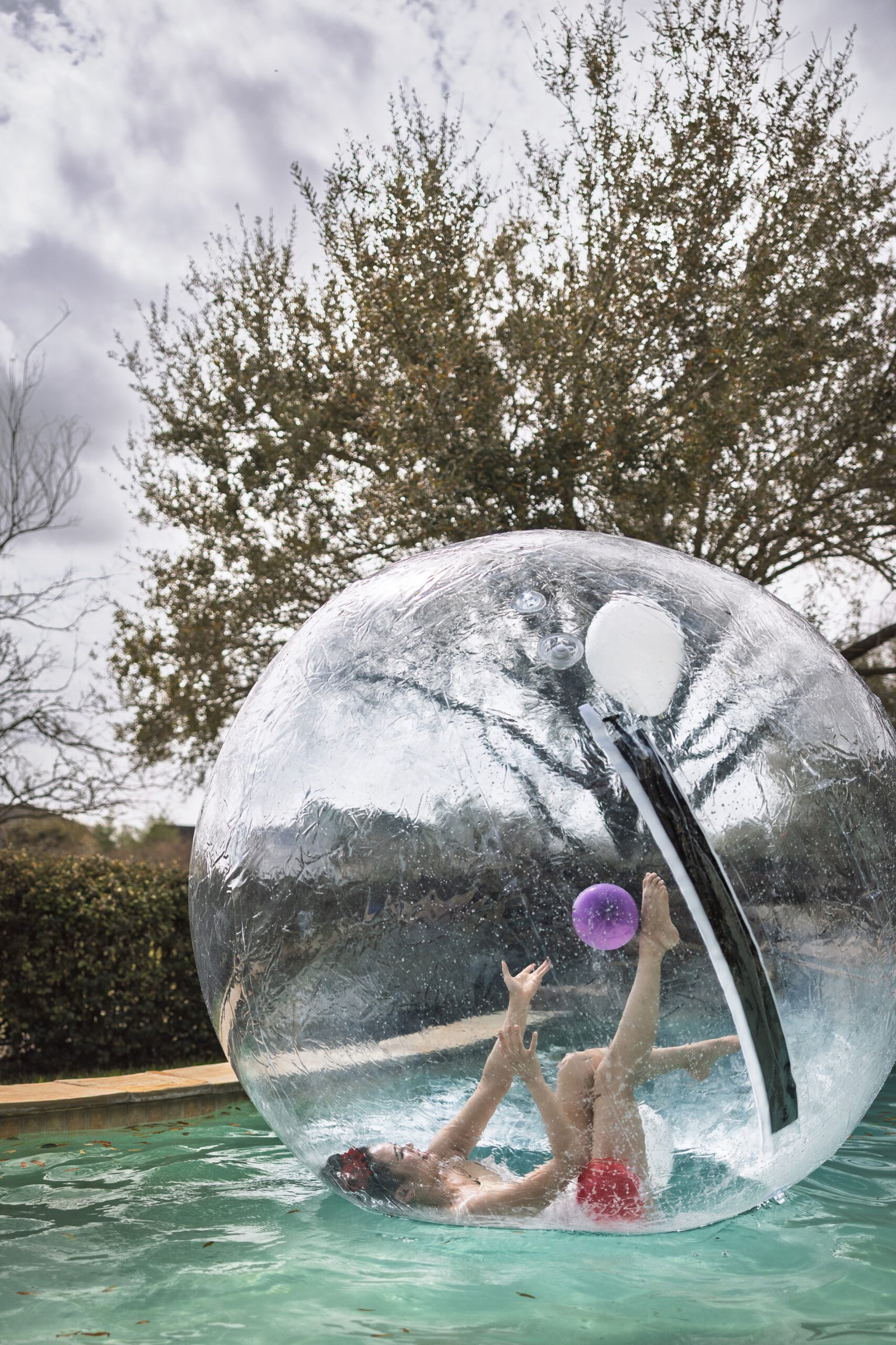 Zorb-1956