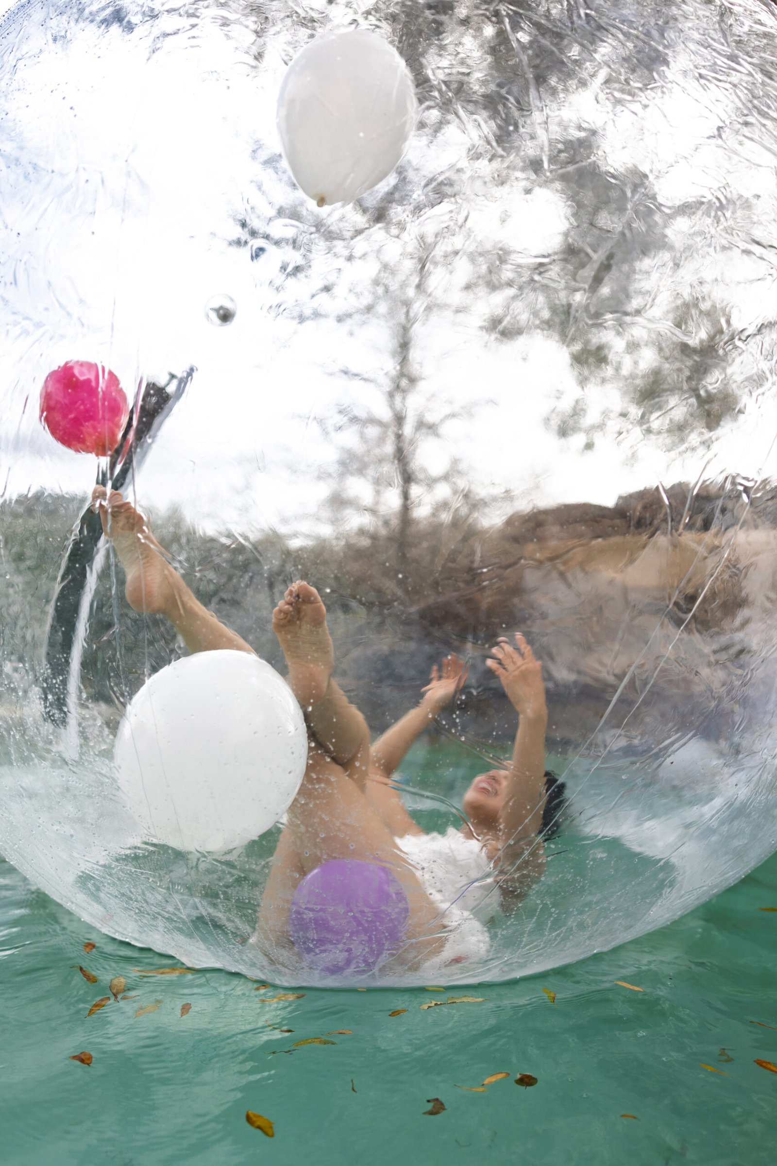 Zorb-1967