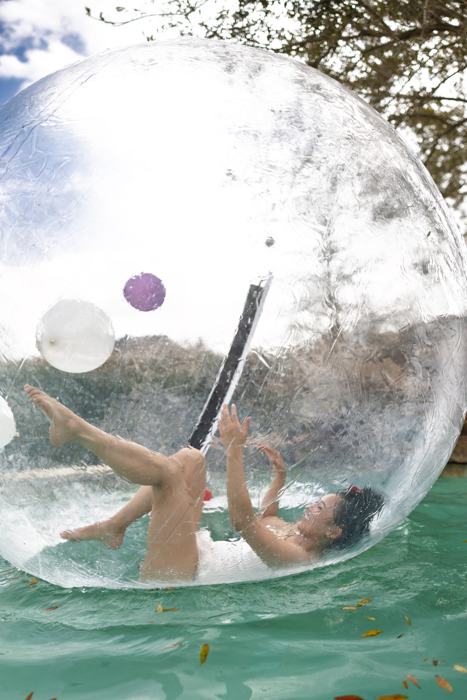 Zorb-1979