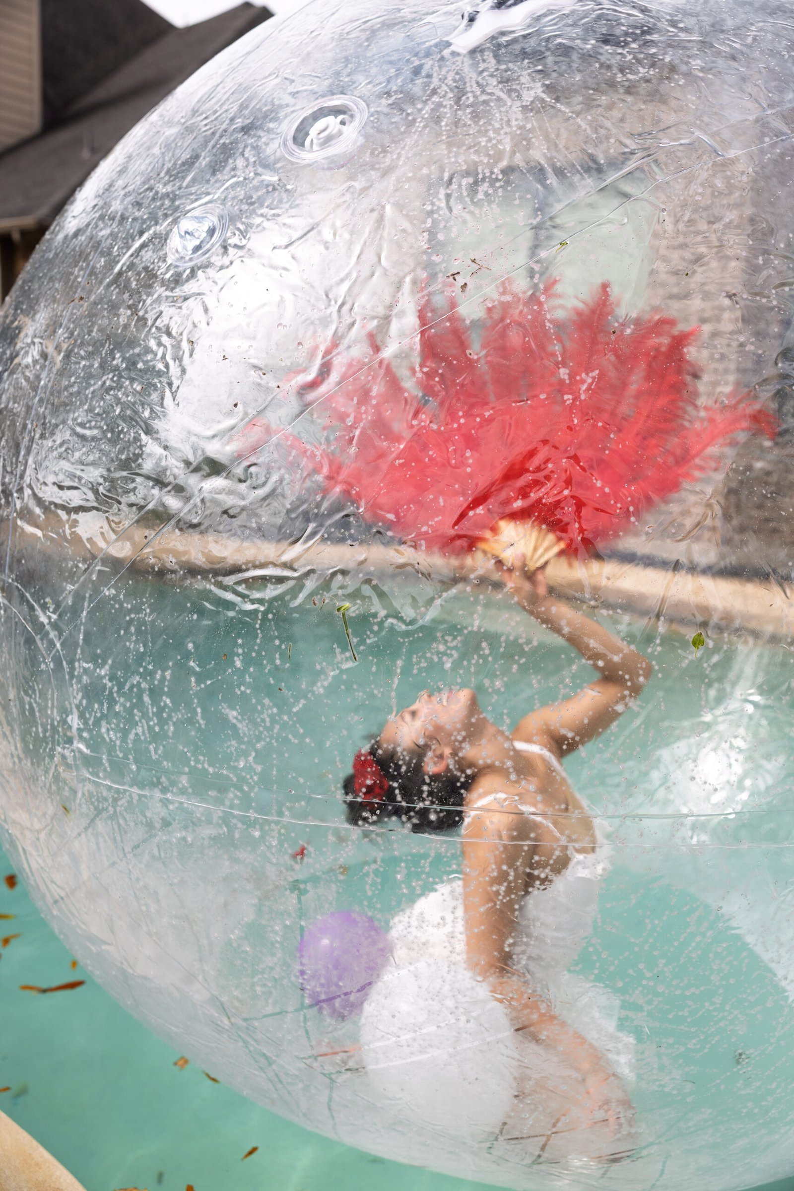 Zorb-2161
